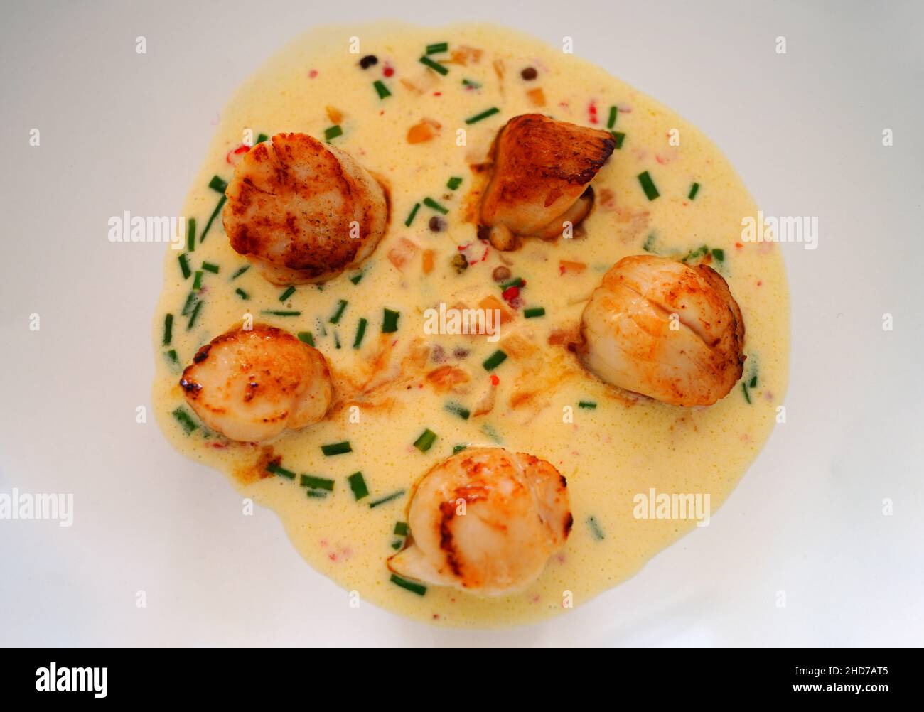 Seared scallops with shallot and red pepper cream sauce Stock Photo Alamy