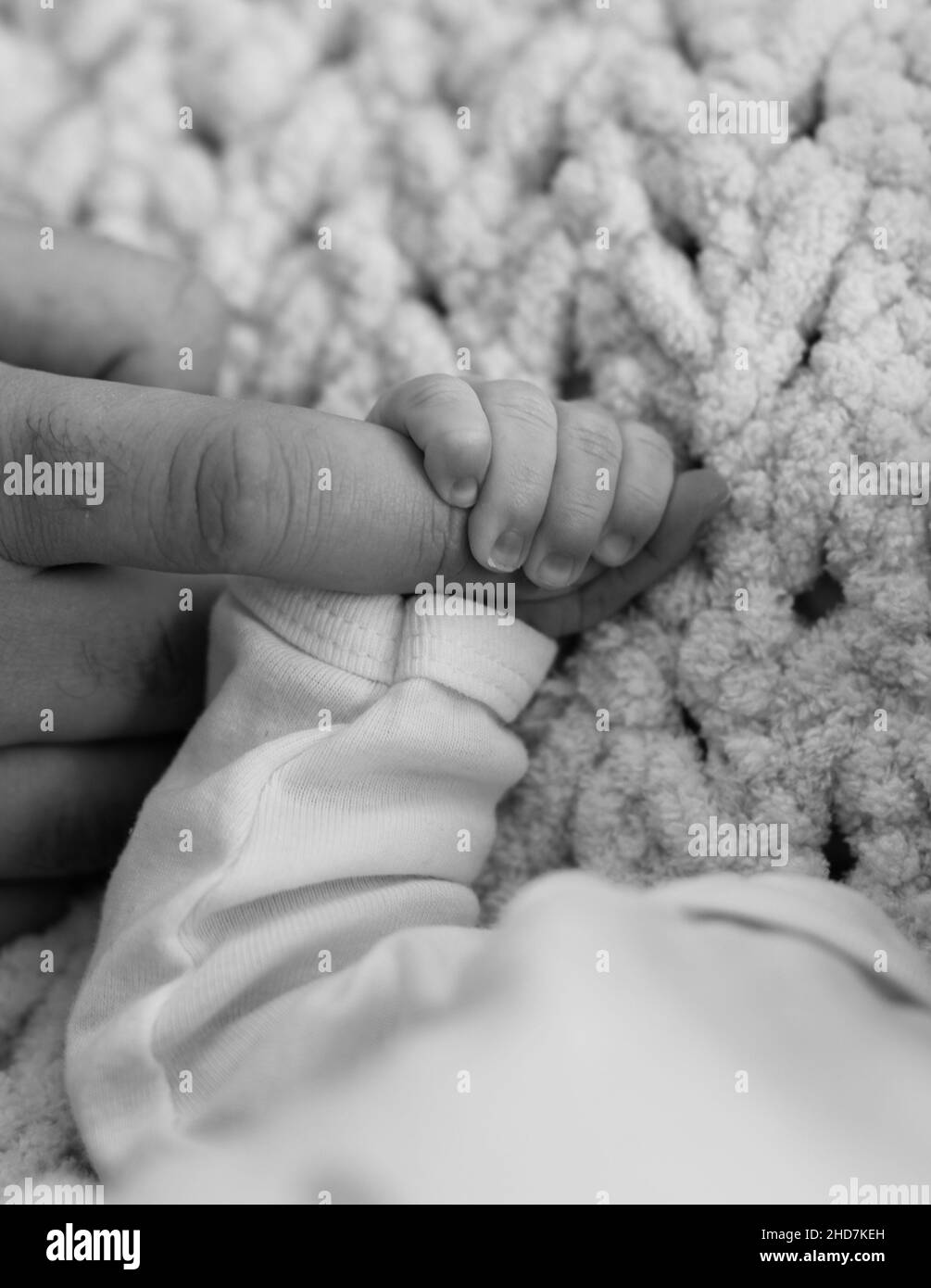 Newborn baby holding parent's hand. Black and white close up shot of baby's hand and fingers. Gentle family moments. High quality photo Stock Photo