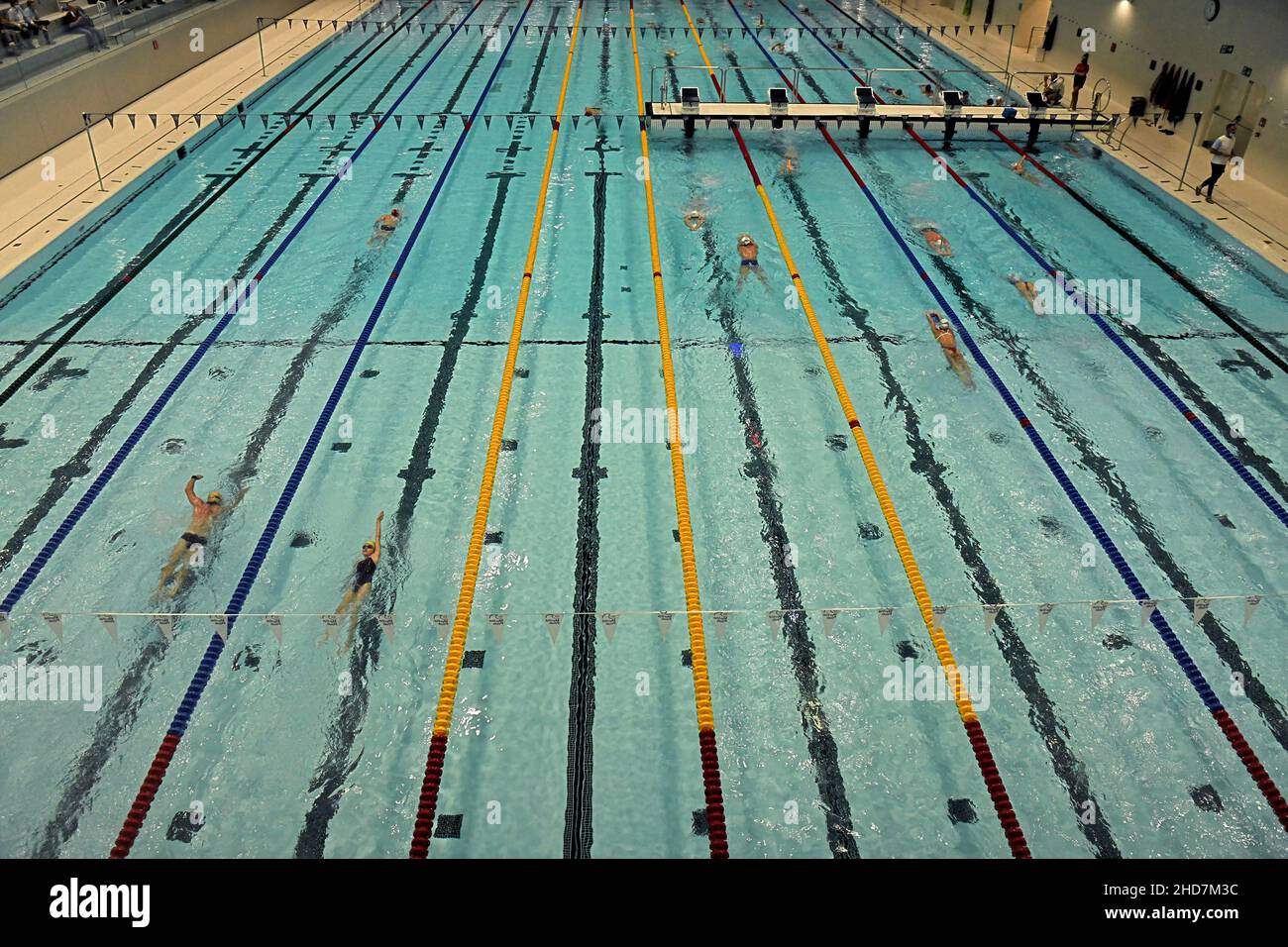 The new indoor olympique swimming pool of the Bocconi University, in Milan. Stock Photo