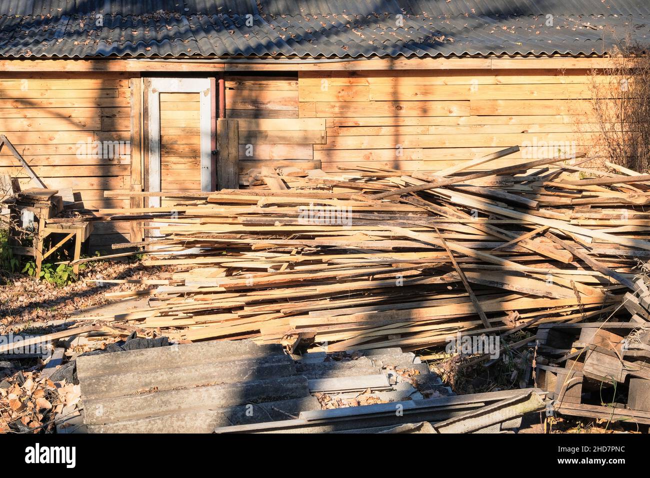 Big stack of tree trunks at wood production lumber mill. Processing