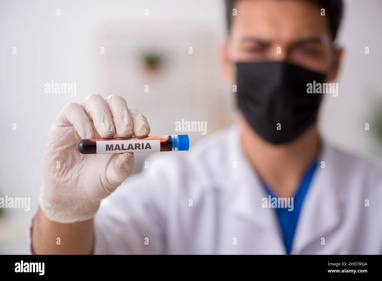 Young biochemist testing blood samples Stock Photo