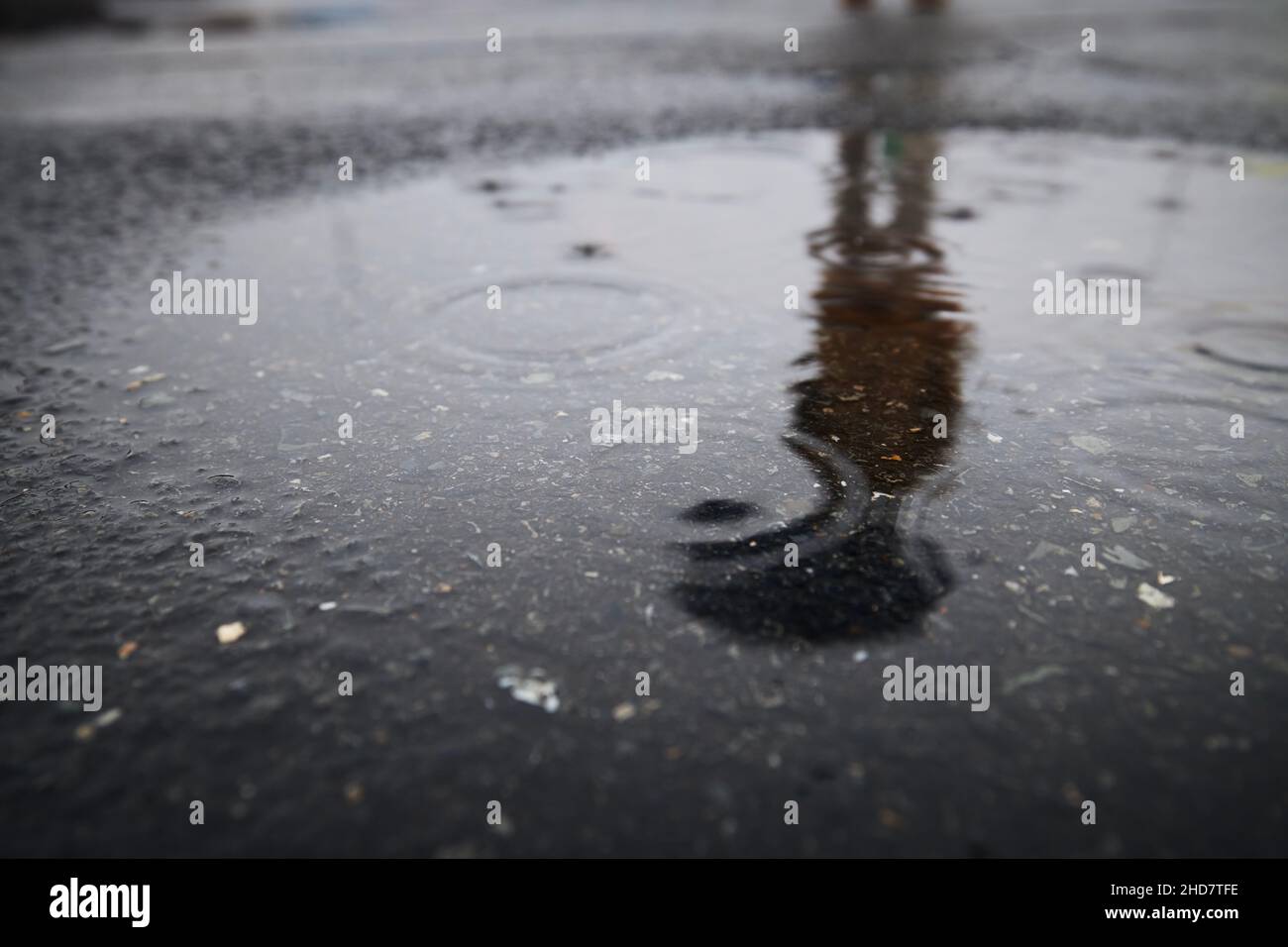 Raindrops in puddle. Reflection of person with umbrella in rain. Stock Photo