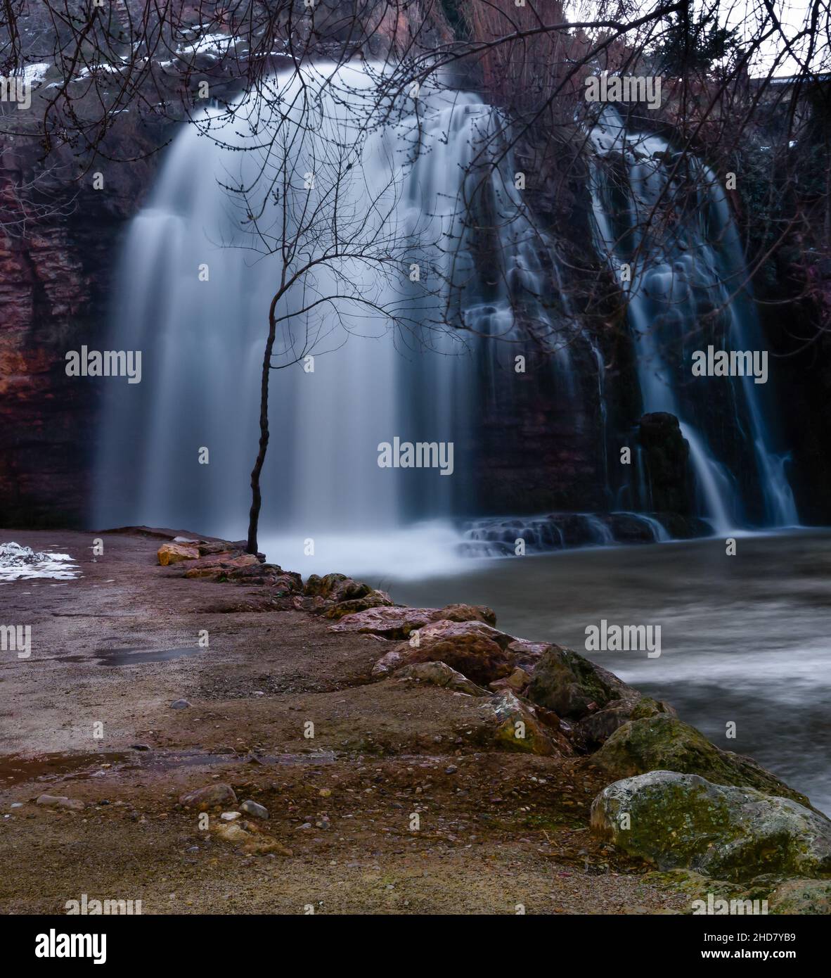 dry tree on the bank of a river with a waterfall in the background Stock Photo