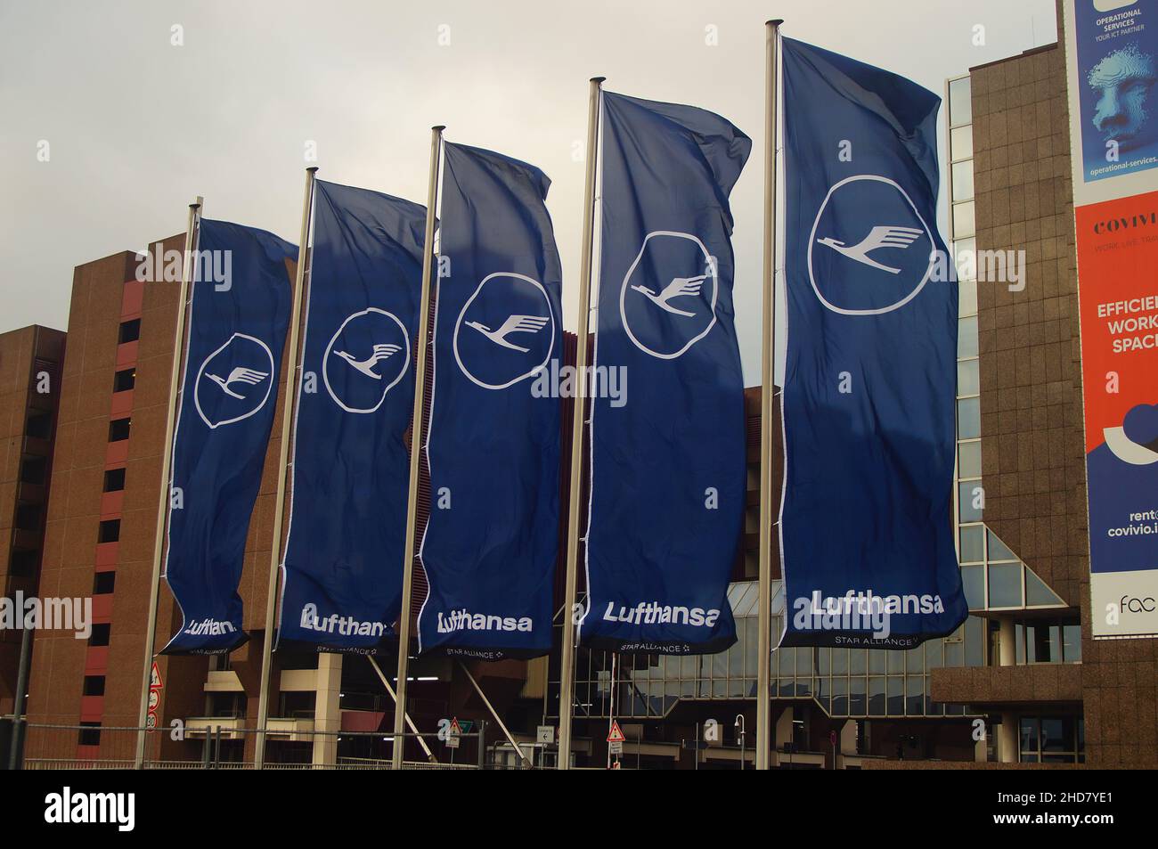 Lufthansa flags fly at Terminal 1 in Frankfurt, Germany Stock Photo Alamy