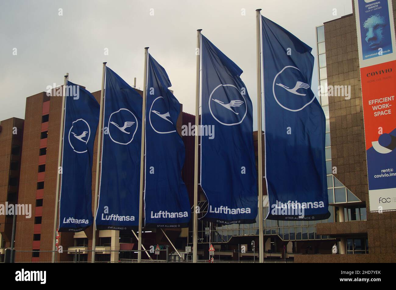 Lufthansa flags fly at Terminal 1 in Frankfurt, Germany Stock Photo Alamy