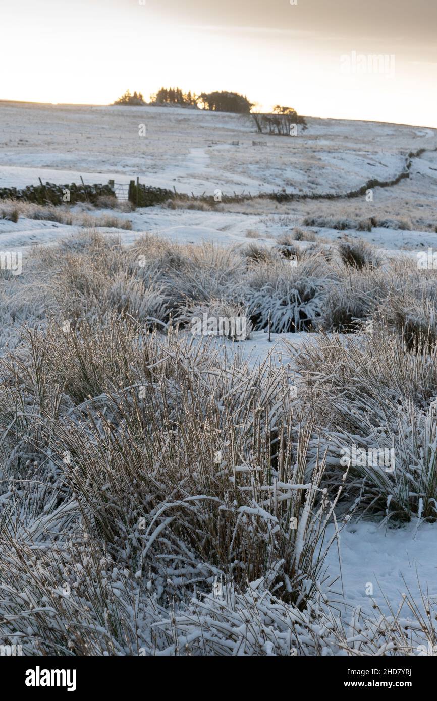 Moorland and farmland hi-res stock photography and images - Alamy