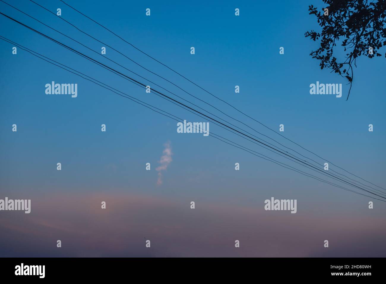 Colorful sunrise over the with trees and electric pole Stock Photo - Alamy