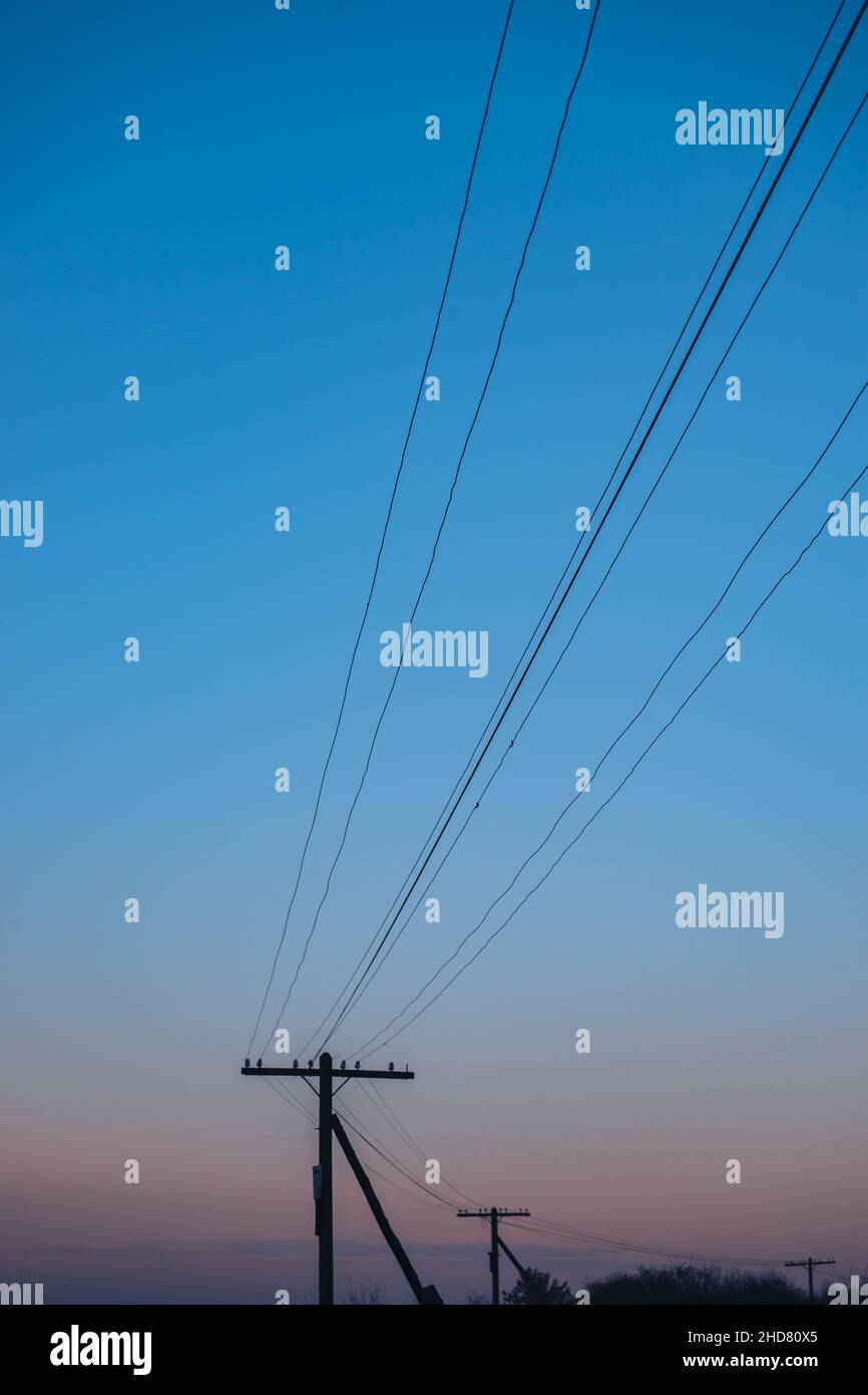 Colorful sunrise over the with trees and electric pole Stock Photo - Alamy