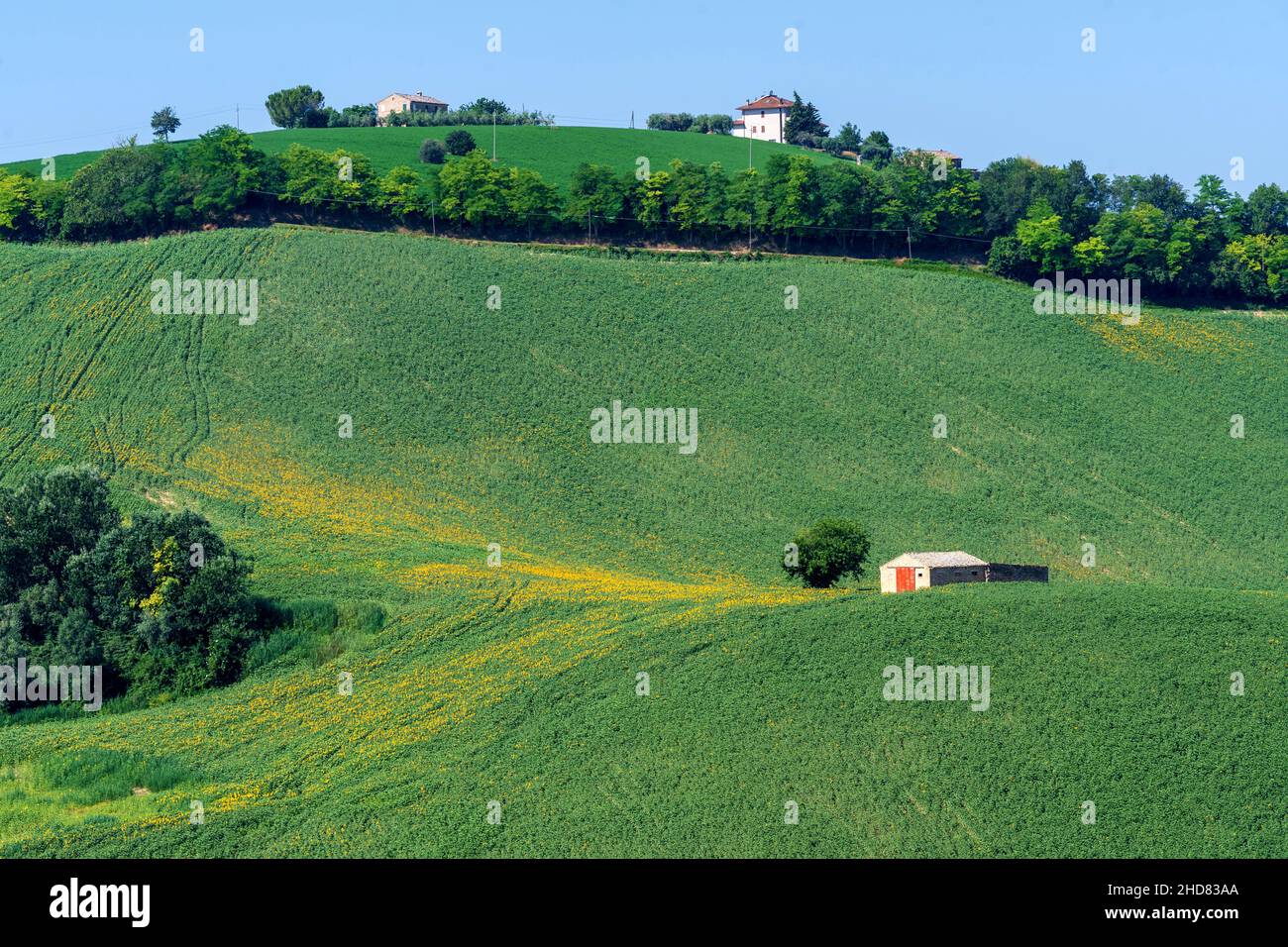 Stable in the Corridonia countryside, Marche, Italy, Europe Stock Photo