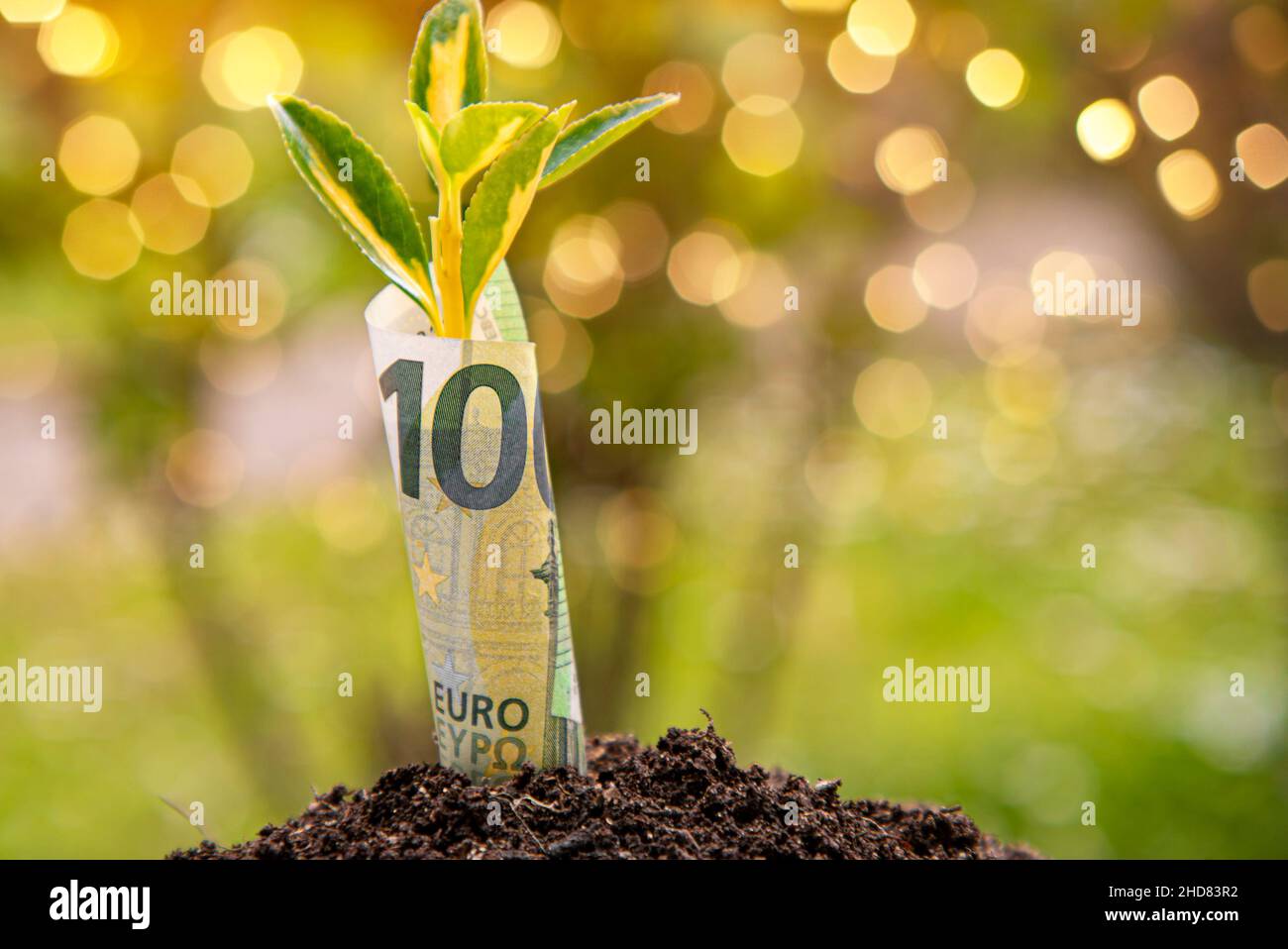 Economic Growth symbol : one hundred euro banknote with a plant or leaf growing out of the earth with green blurry background Stock Photo