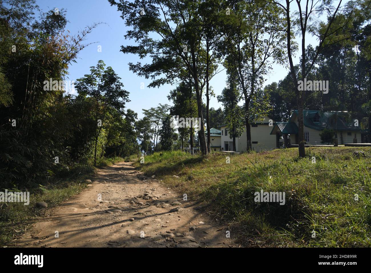 Dalgaon view point road (altitude 2500 ft). Kalimpong, West Bengal, India. Stock Photo