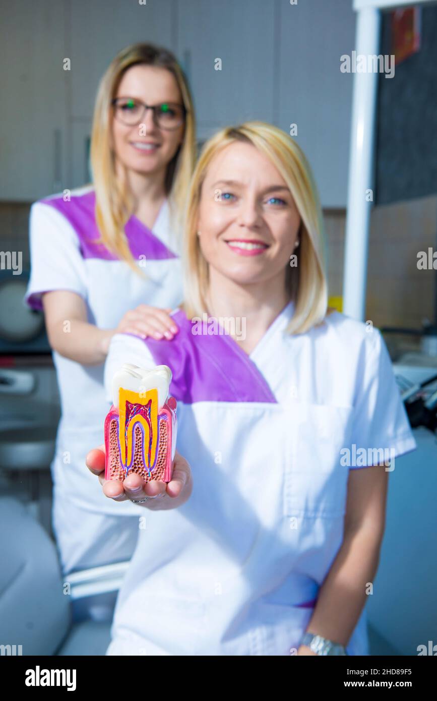 Woman healthy gums teeth hi-res stock photography and images - Page 3 -  Alamy