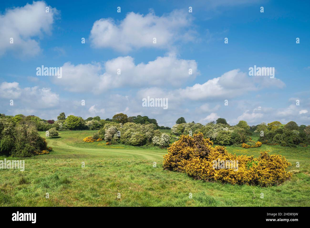 BEVERLEY, UK - MAY 03, 2020:  Golf course  in spring now devoid of people due to Corona virus outbreak in Beverely, UK., Stock Photo