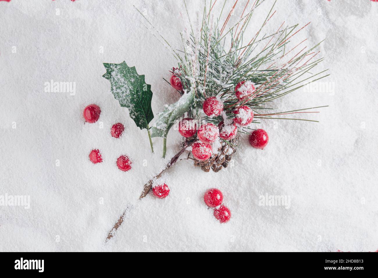 Holly plant covered with white snow with red berries. Flat lay nature concept. Stock Photo