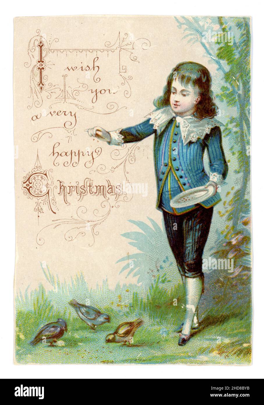 Original Victorian scrapbook Christmas card cutting - boy with long hair in Little Lord Fauntleroy suit, feeding birds, Christmas greetings, late 1890's, UK Stock Photo