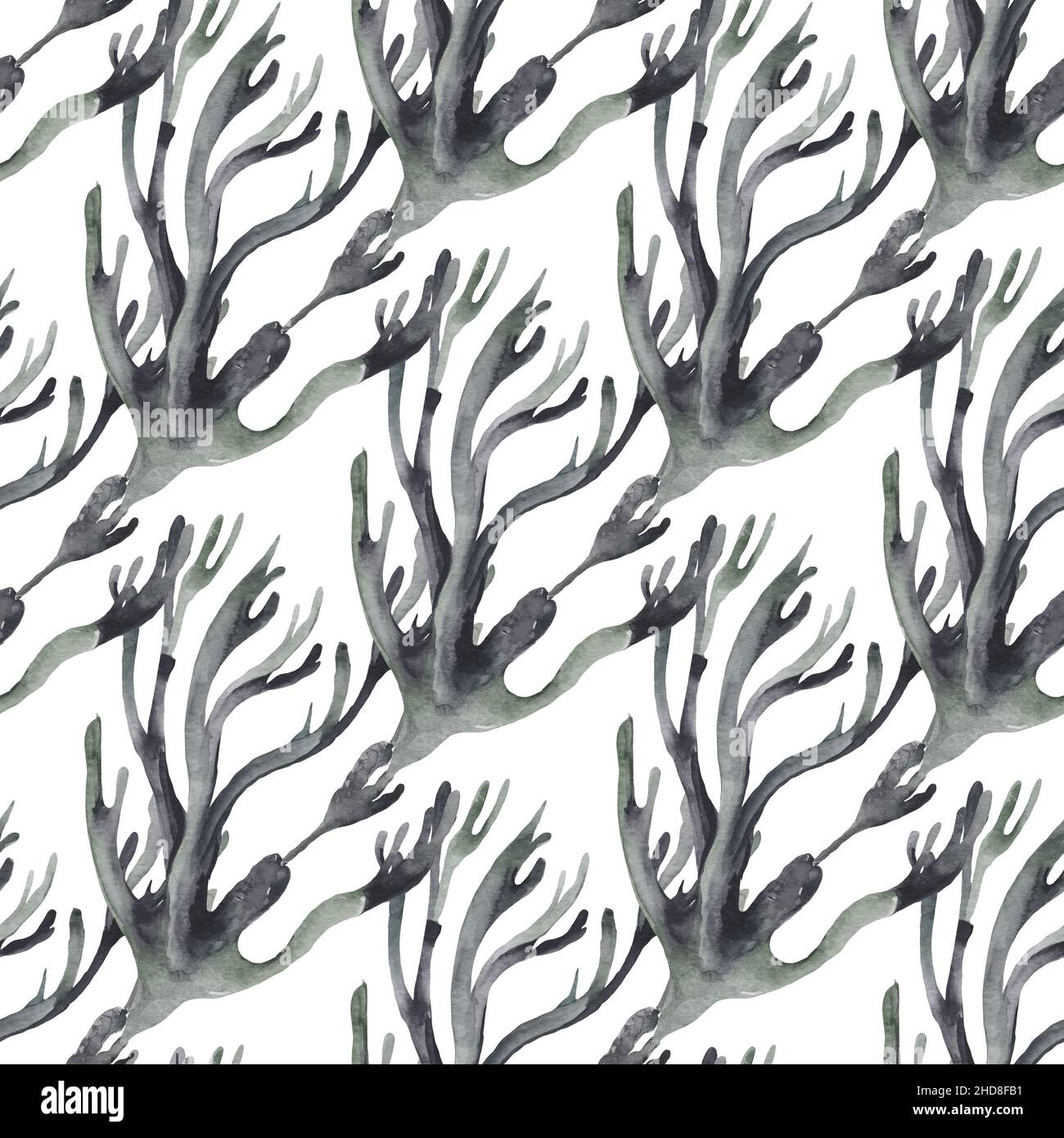 Coral seaweed marine plants seamless pattern. Sea reef algae background ...