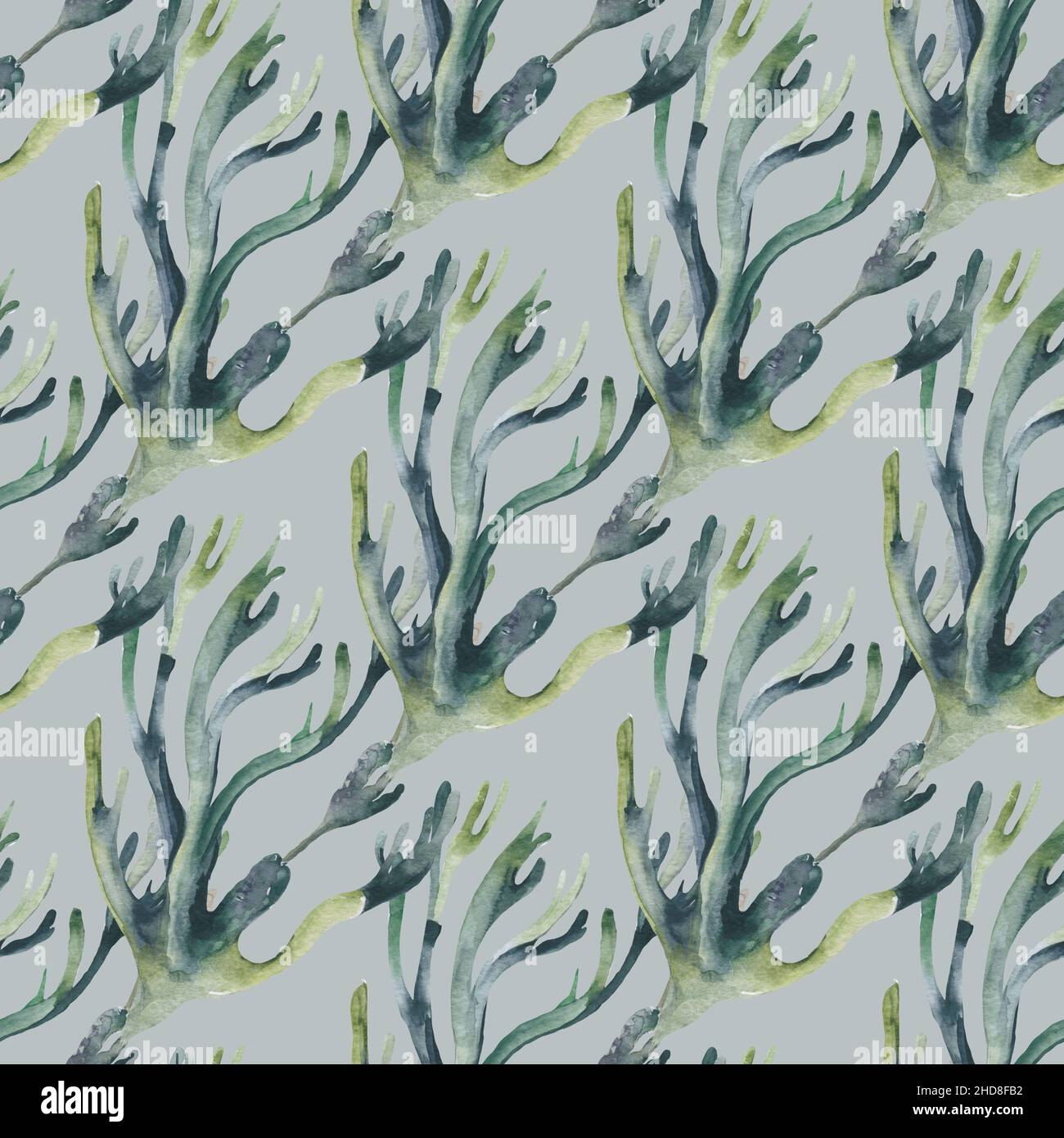Coral seaweed marine plants seamless pattern. Sea reef algae background ...