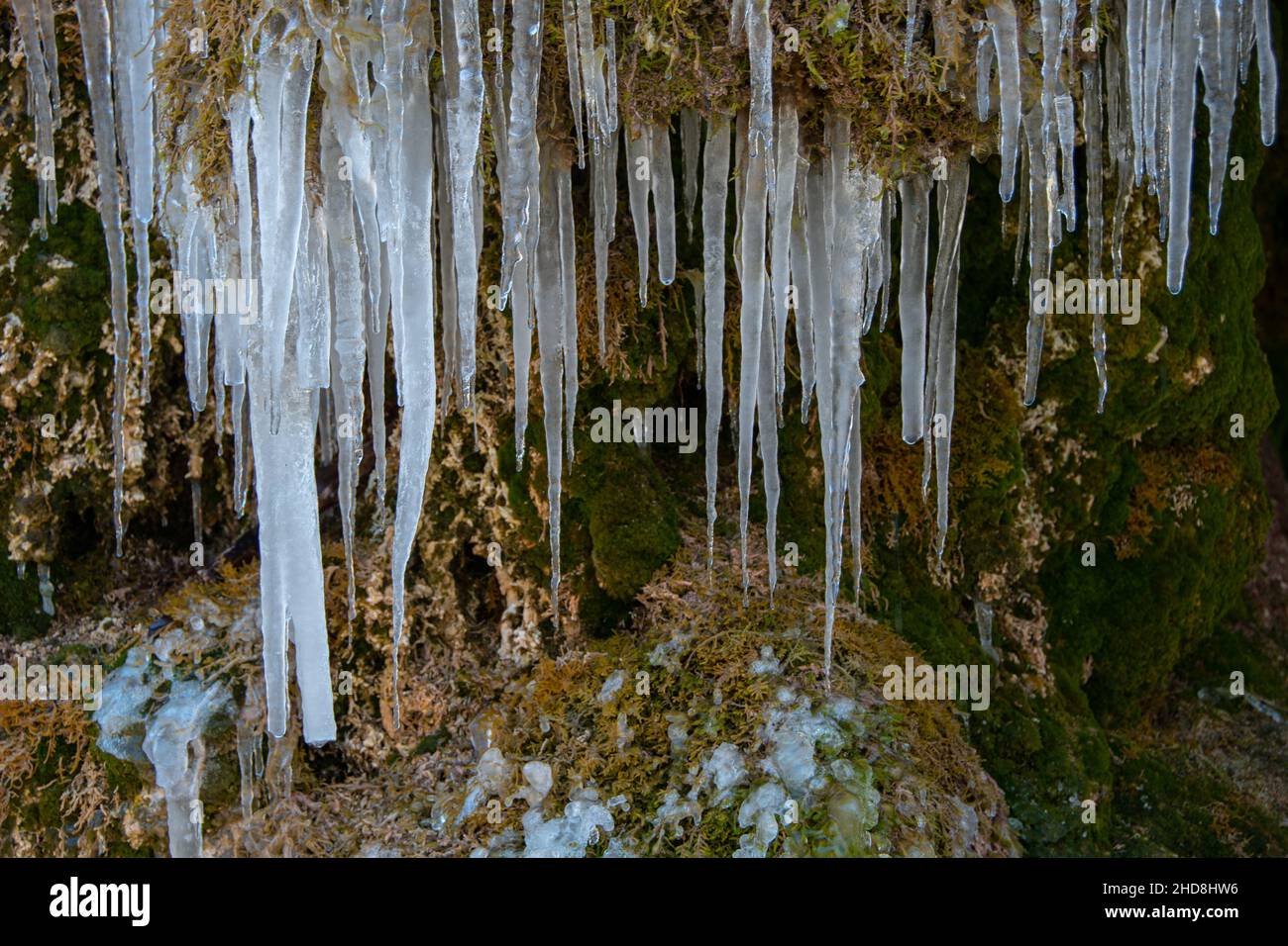 frozen icicles on the moss-covered waterfall of Dreimühlen in the Eifel Stock Photo