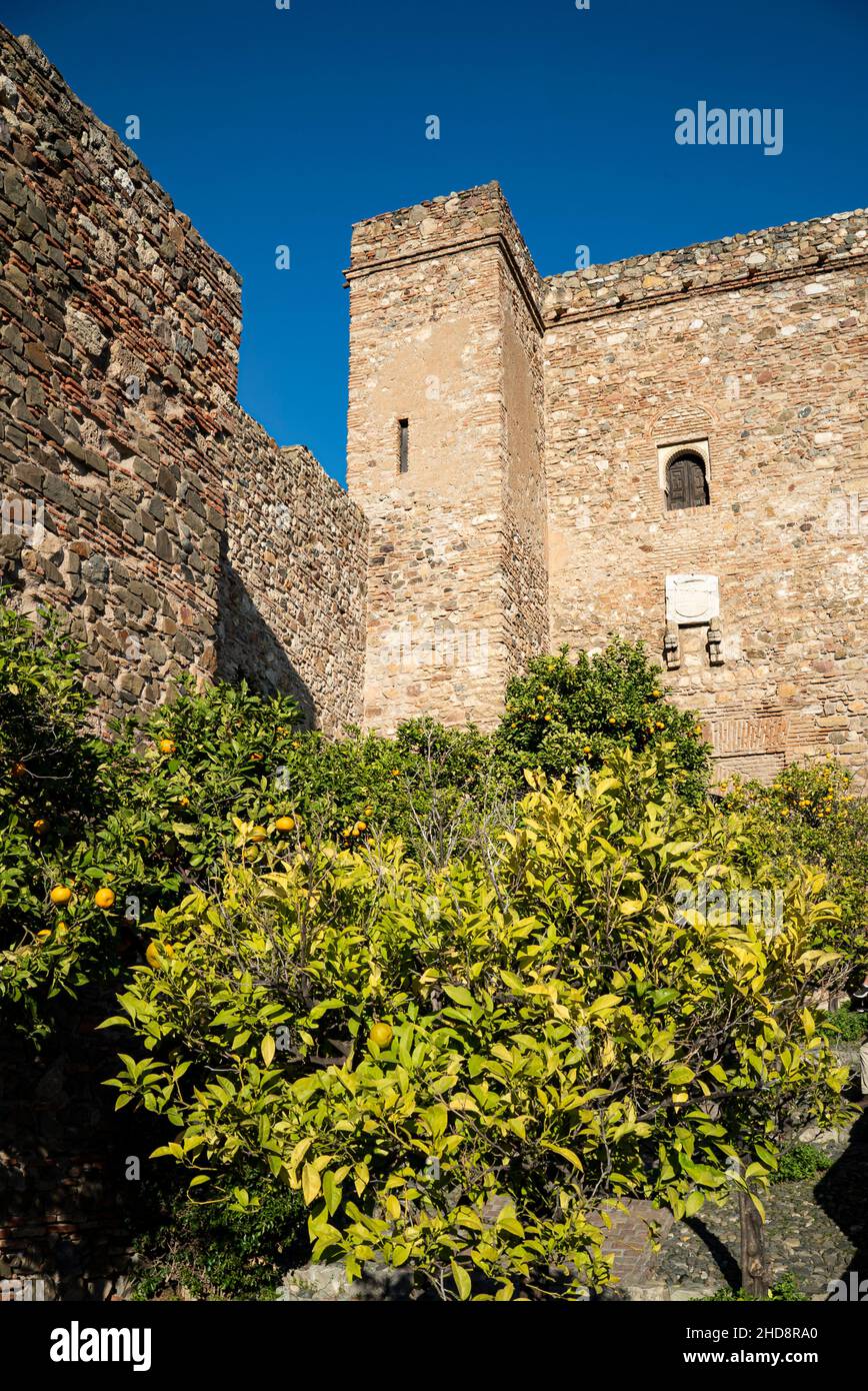 Alcazaba fortress in the city of Malaga, Andalusia. Spain.Built by the Hammudid dynasty in the early 11th century Stock Photo