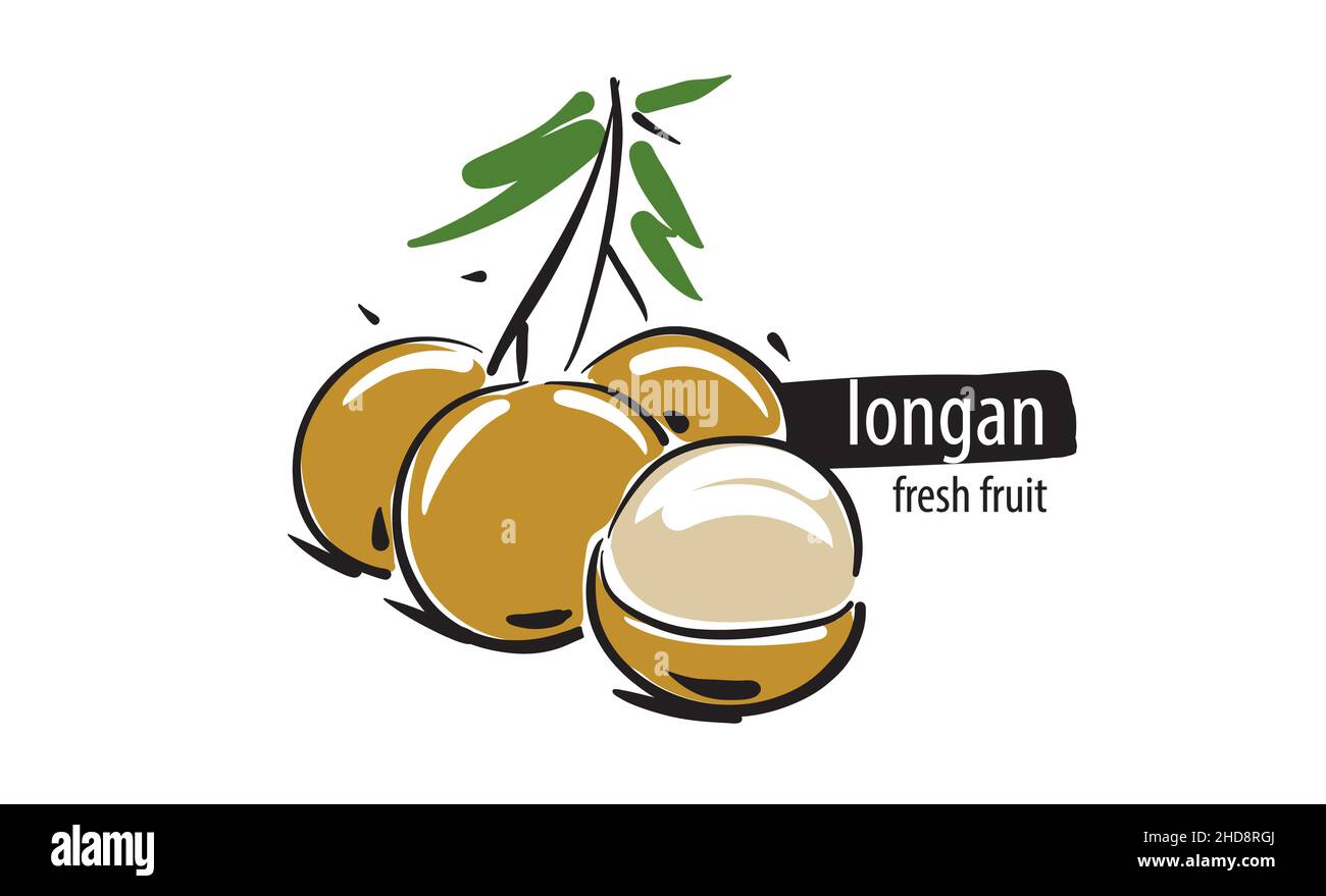 Longan fruits Stock Vector Images - Alamy