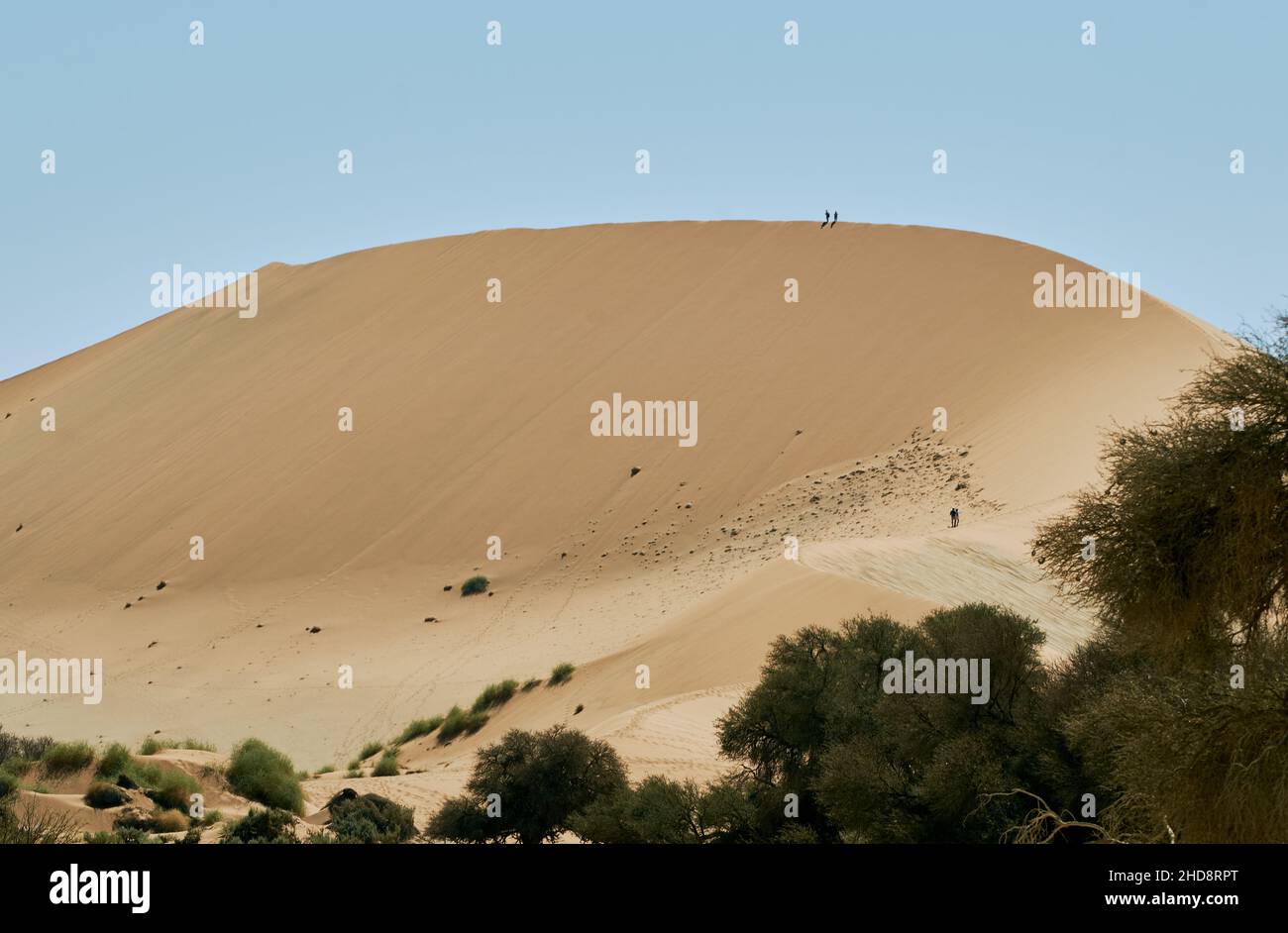 Tourists hiking up giant sand dune at Sossusvlei, Namib-Naukluft ...
