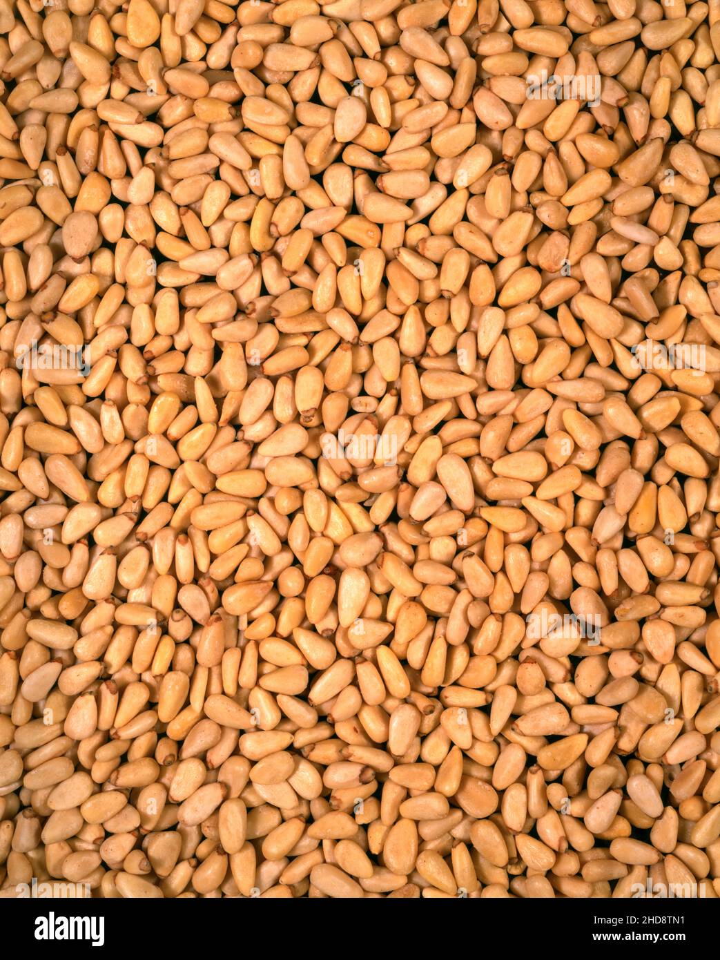 Pine nuts Stock Photo