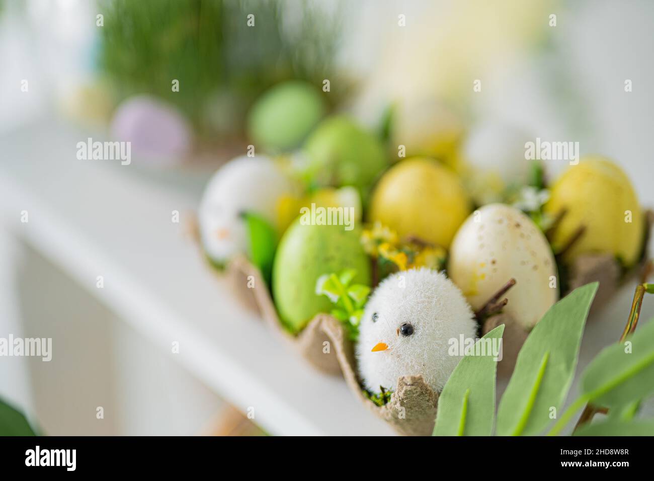 Flower composition with easter colorful dyed eggs, happy easter. Easter composition. Stock Photo