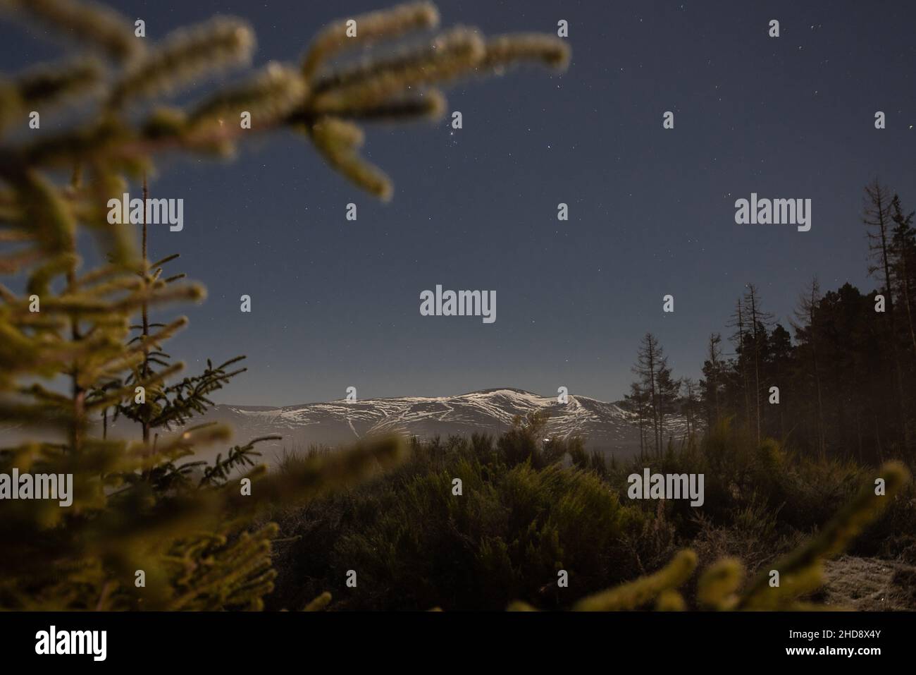 Snowy mountain through the trees in winter  Stock Photo