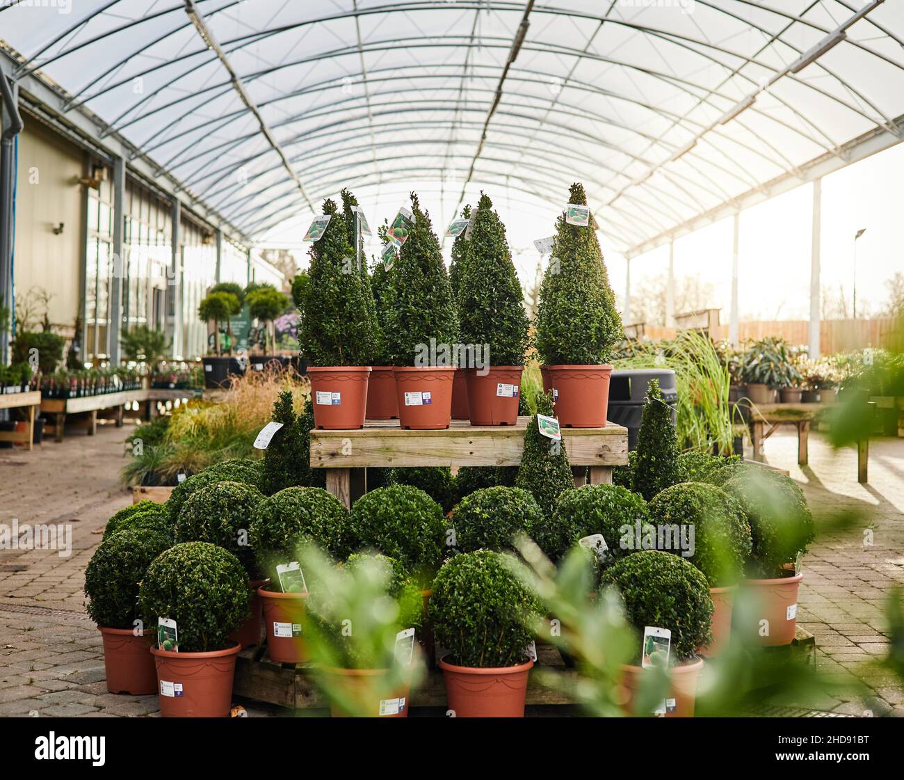 Houghton Hall Garden Centre, Carlisle Stock Photo