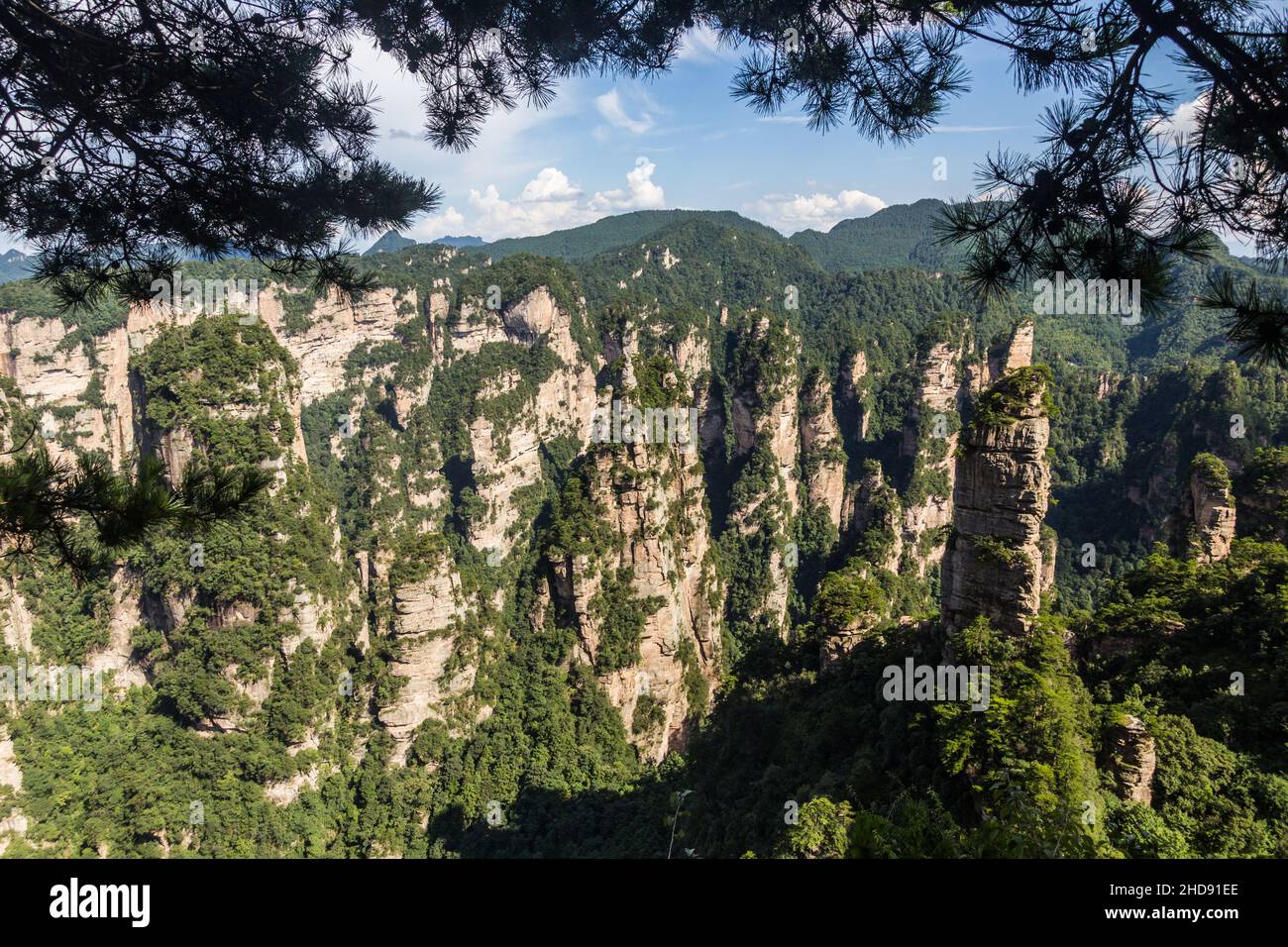 Rocky pillars in Zhangjiajie National Forest Park in Hunan province