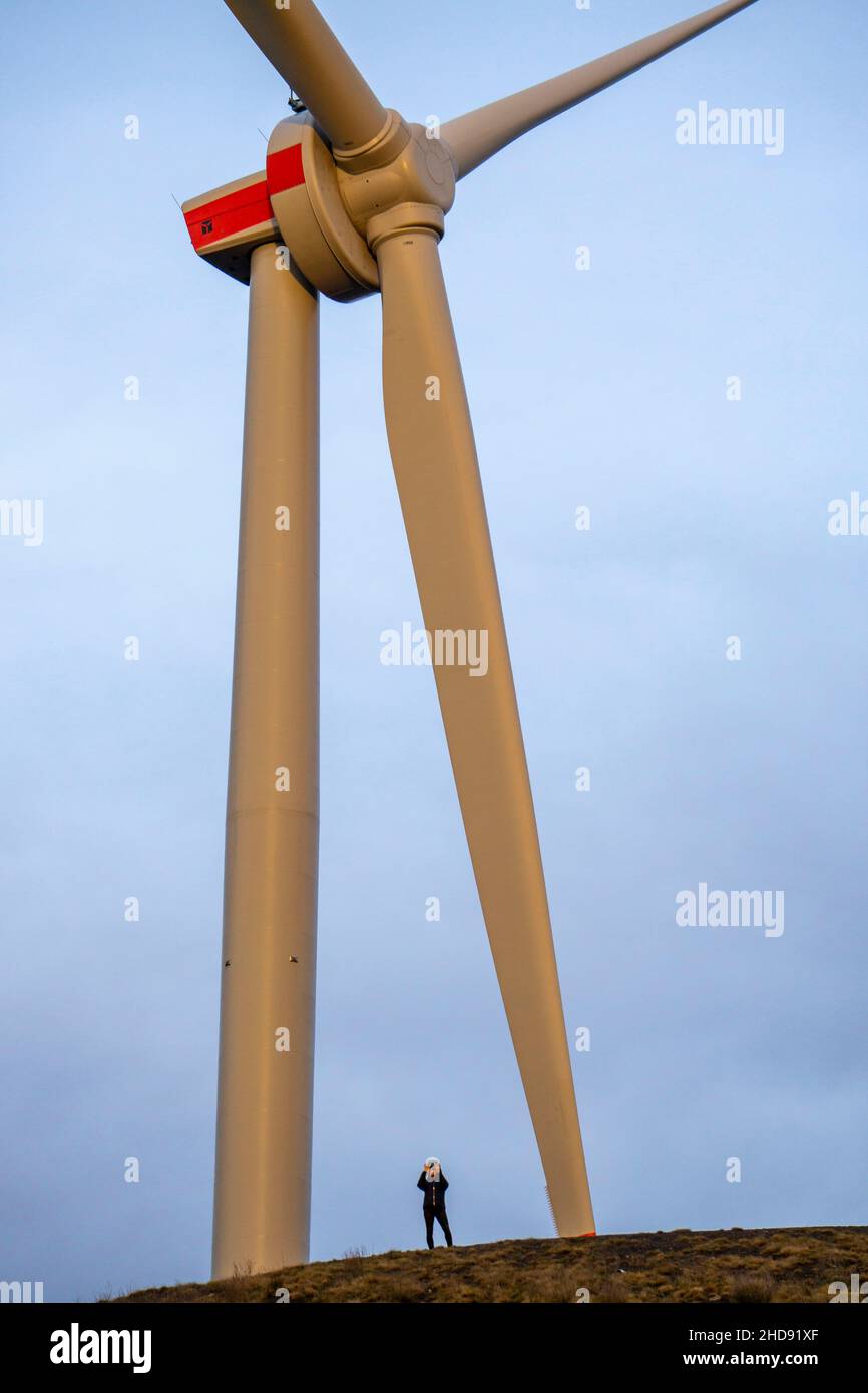 Wind turbine, by Enercon, on the Mottbruchhalde, in Gladbeck-Brauck, operated by the energy company STEAG, NRW, Germany. Stock Photo