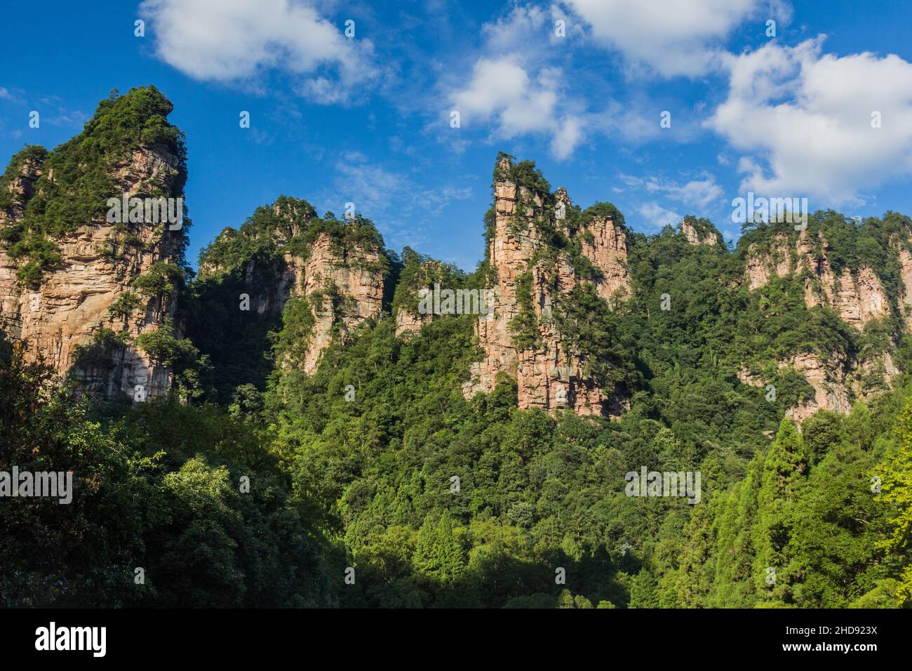 Rocky pillars in Zhangjiajie National Forest Park in Hunan province
