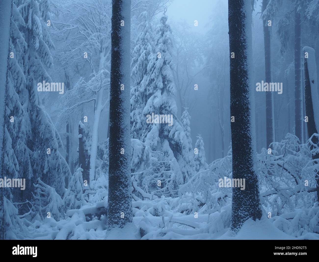 Taunus winter hi-res stock photography and images - Alamy