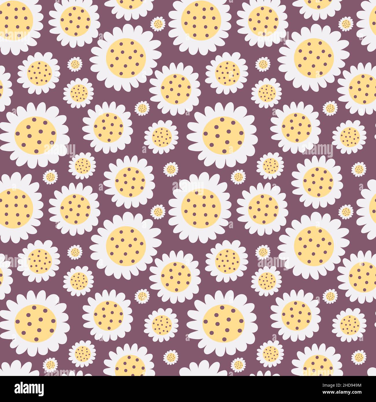 Floral pattern with white daisy flowers on dark purple background ...