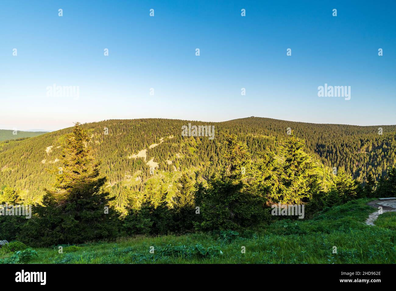 Spaleny vrch and Vozka hills from Vresova studanka in Jeseniky mountains during morning with clear sky Stock Photo