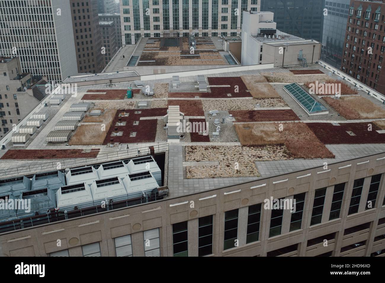 Aerial View of Environmentally Green Rooftop Space in Downtown Chicago