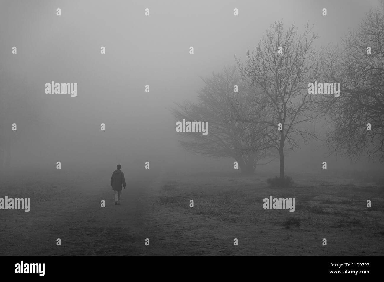 A person walking into a dense fog in the early morning Stock Photo Alamy