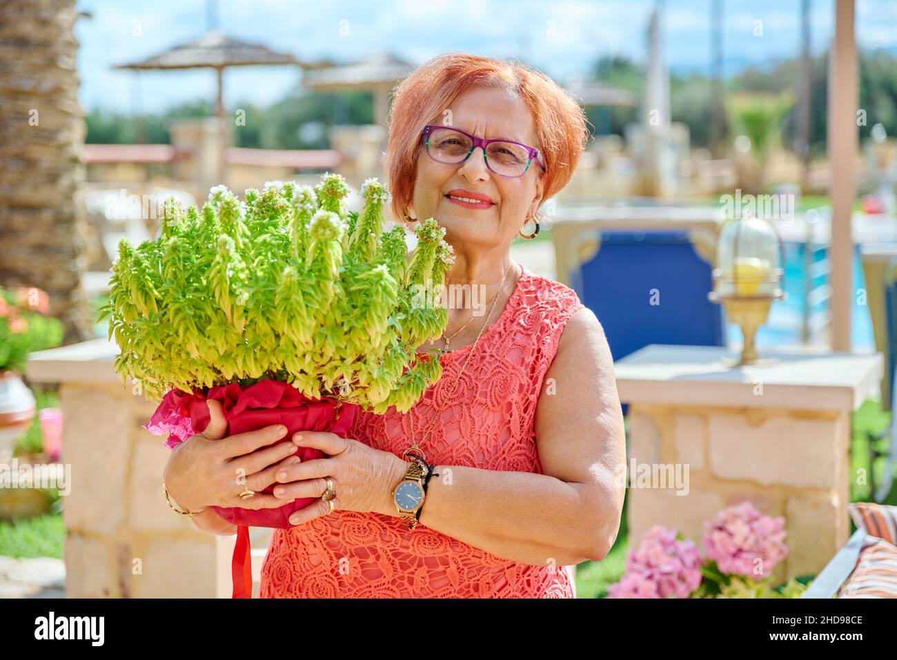 Outdoor portrait of an elderly beautiful 70s woman with basil plant in pot Stock Photo