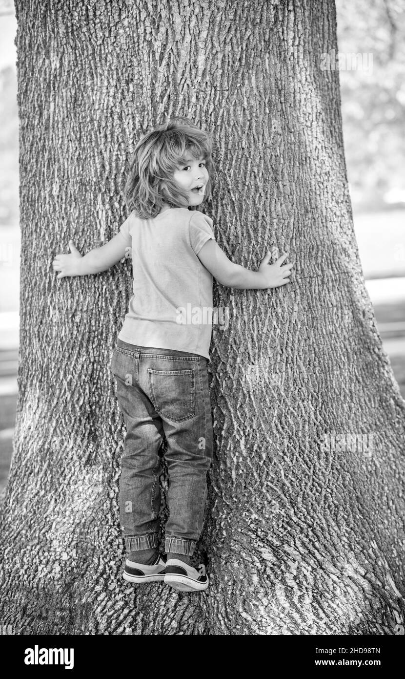 Happy boy child climb tree summer outdoors, boyhood Stock Photo