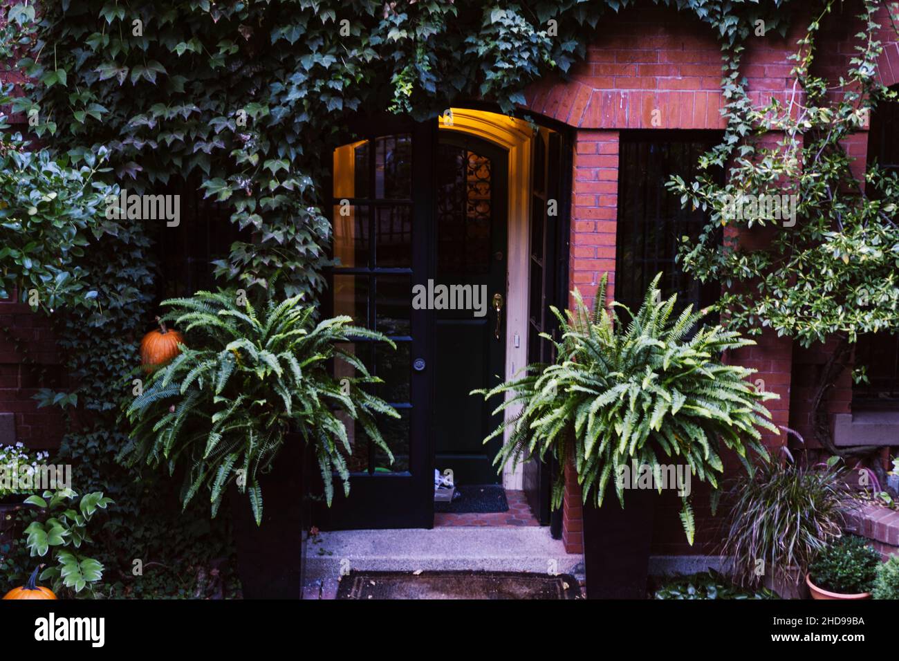 Big planters with various plants set against brick wall with windows Stock Photo