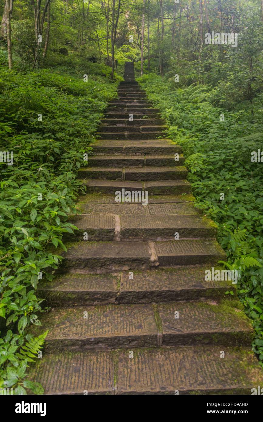 The steep stairs used to climb the mountains in the countryside of the  China 15188893 Stock Photo at Vecteezy