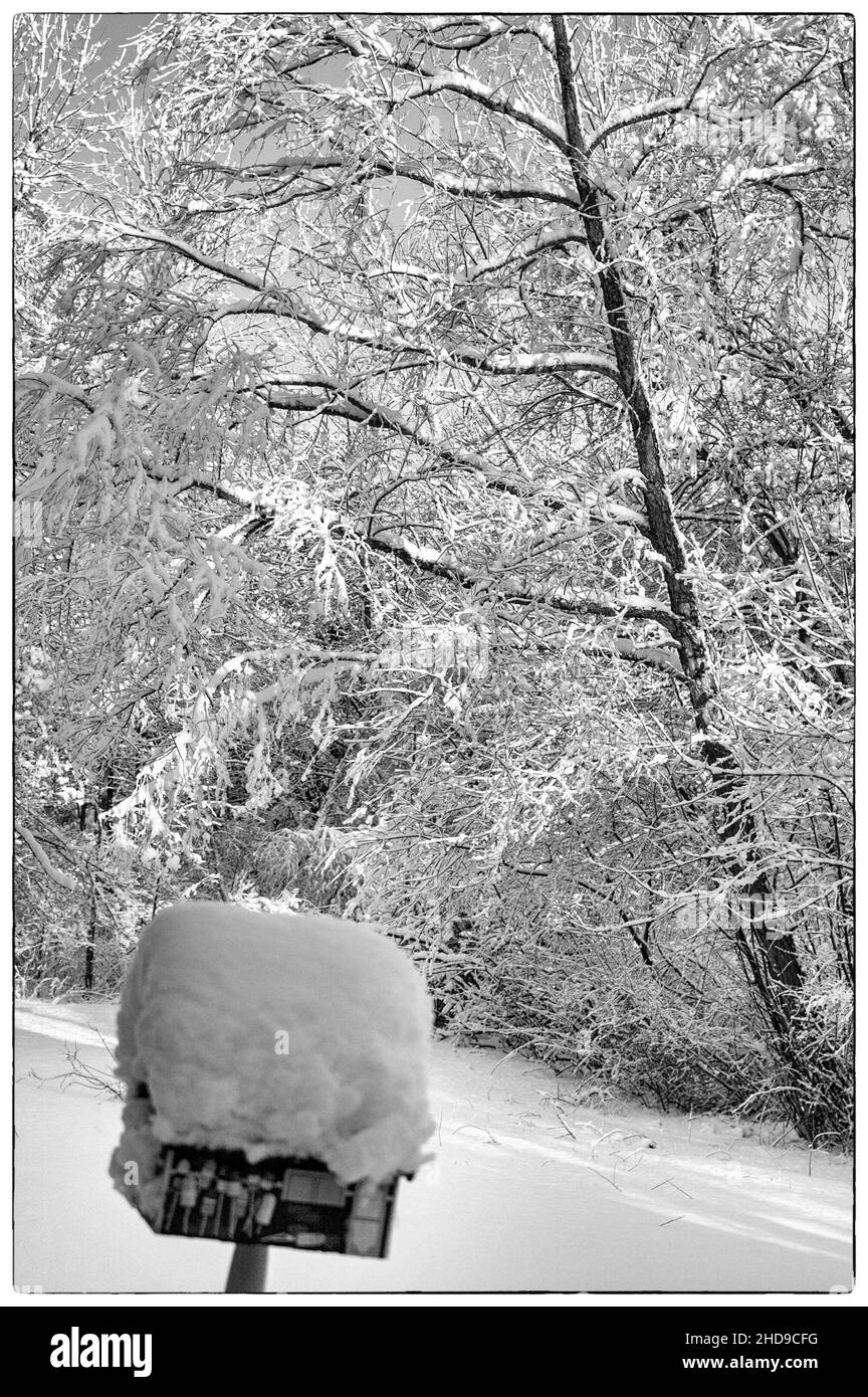 Winter rustic scenic Cut Out Stock Images &amp; Pictures - Alamy