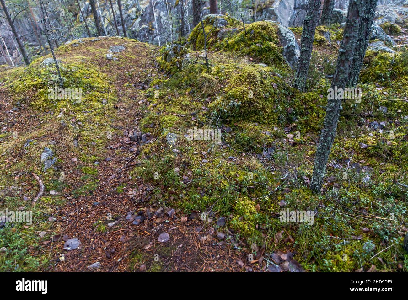 Extinct crater wall hi-res stock photography and images - Alamy