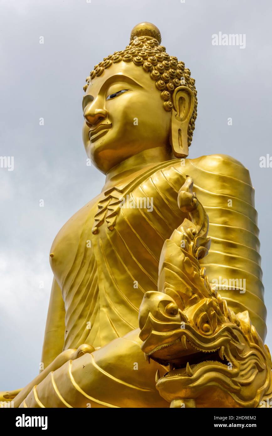 large statue of a golden buddha deity on the island of phuket in ...