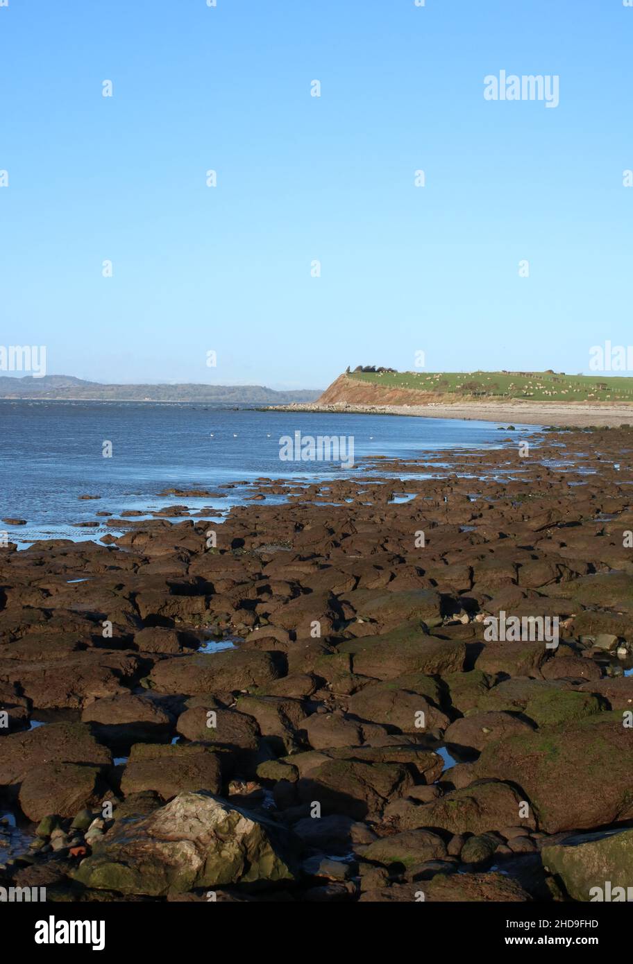 View looking north along shore of Morecambe Bay at Hest Bank, Lancashire after high tide on a sunny January afternoon with evidence of coastal erosion. Stock Photo