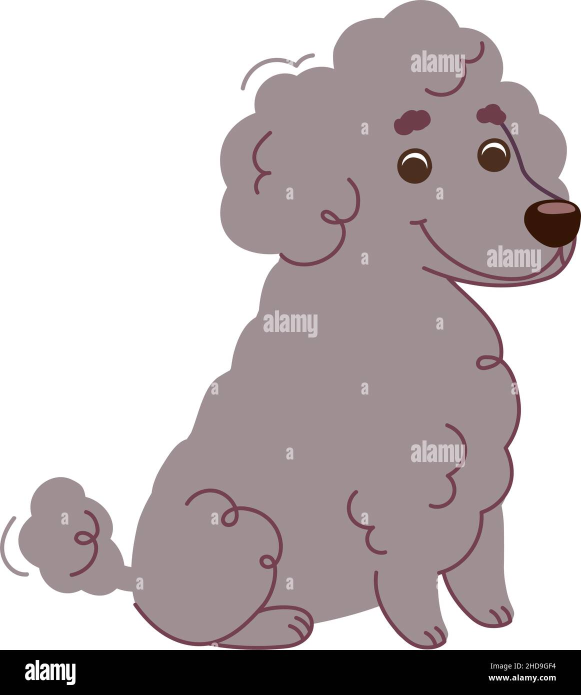Poodle dog is sitting. Vector illustration in flat style isolated on ...