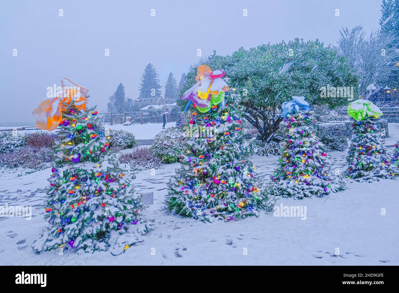 Snow on Christmas trees with hearts, Dundarave Festival of Lights, West
