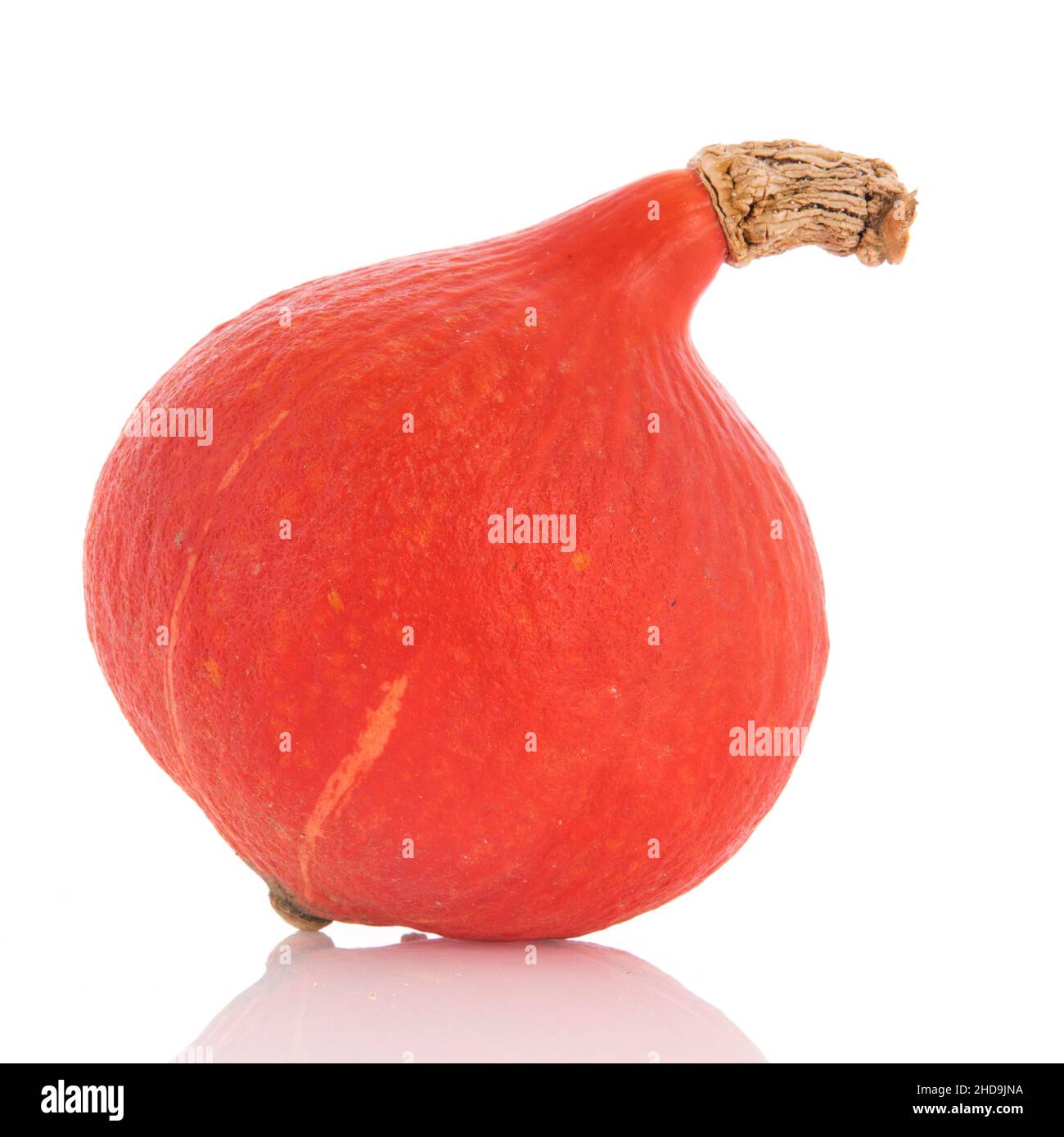 Orange pumpkin isolated over white background Stock Photo - Alamy