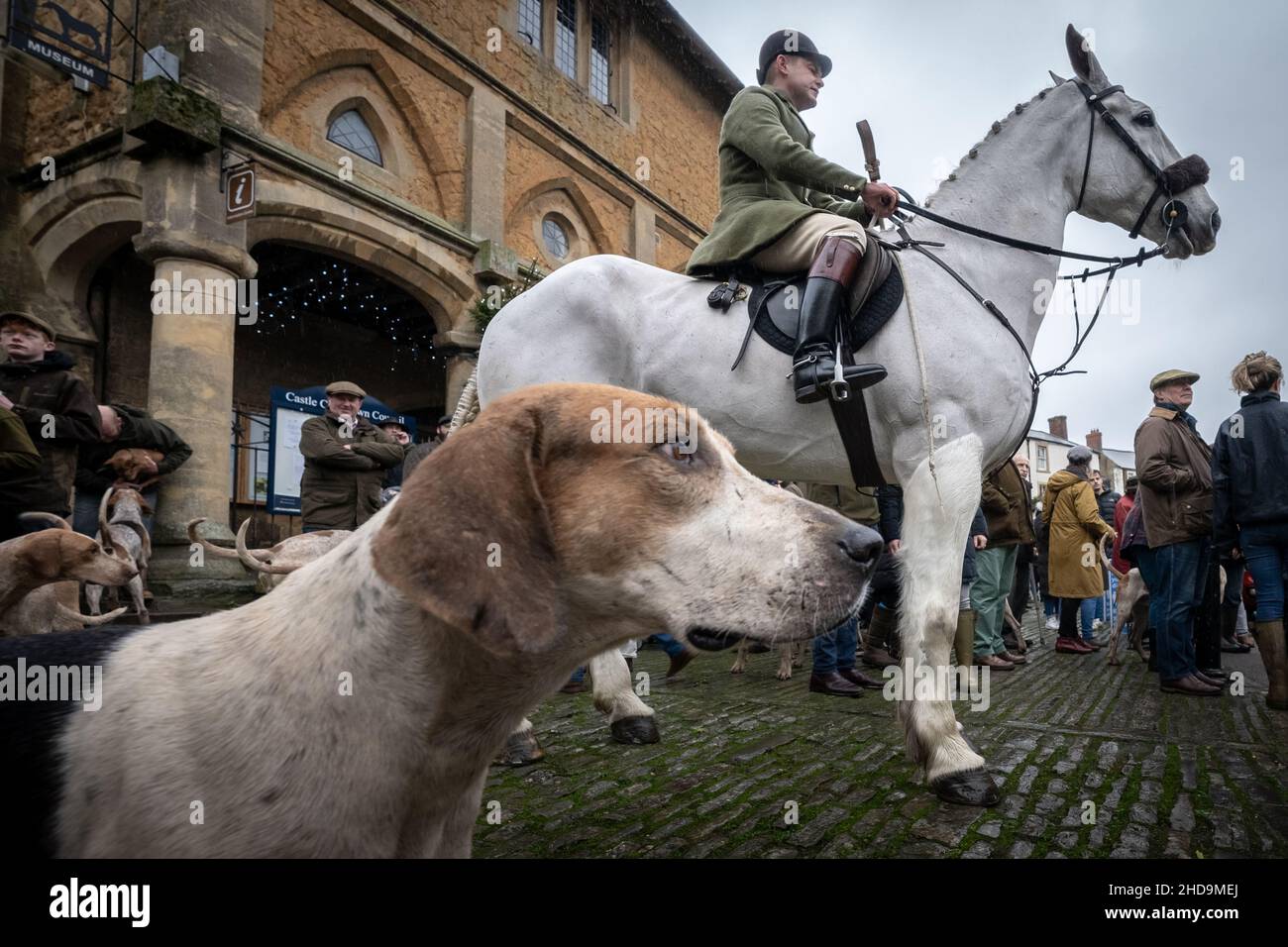Blackmore and Sparkford Vale Hunt meet at Castle Cary town, Somerset, UK. Stock Photo