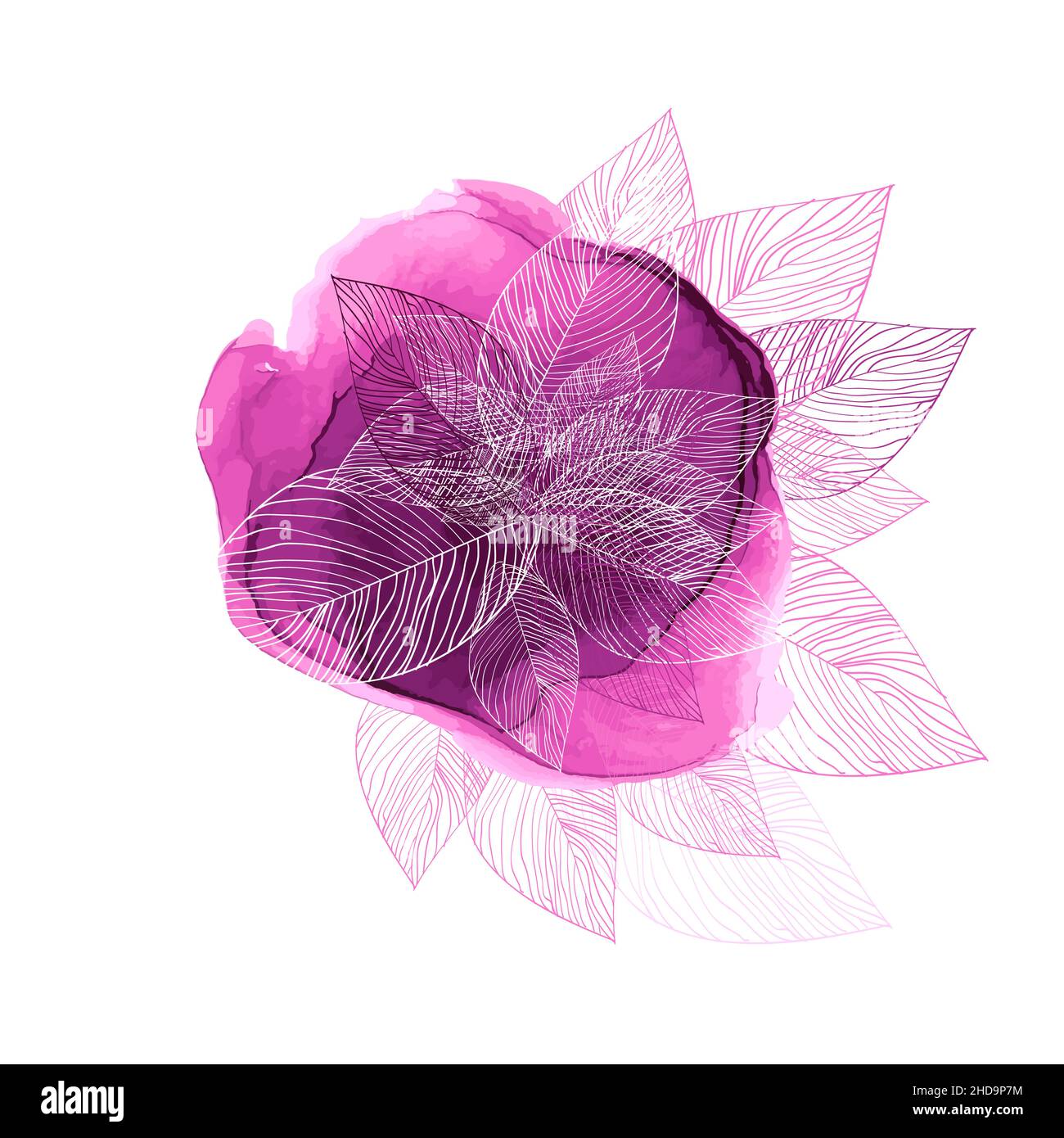 Abstraction pink skeletonized leaves. Vector illustration Stock Vector ...
